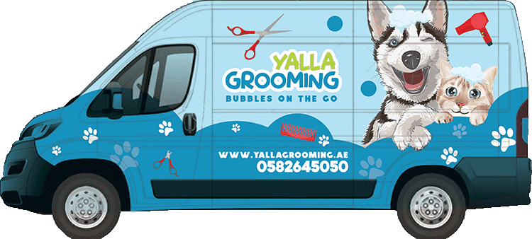 Mobile pet store grooming for cats